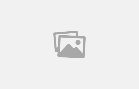 Coronavirus disease 2019
